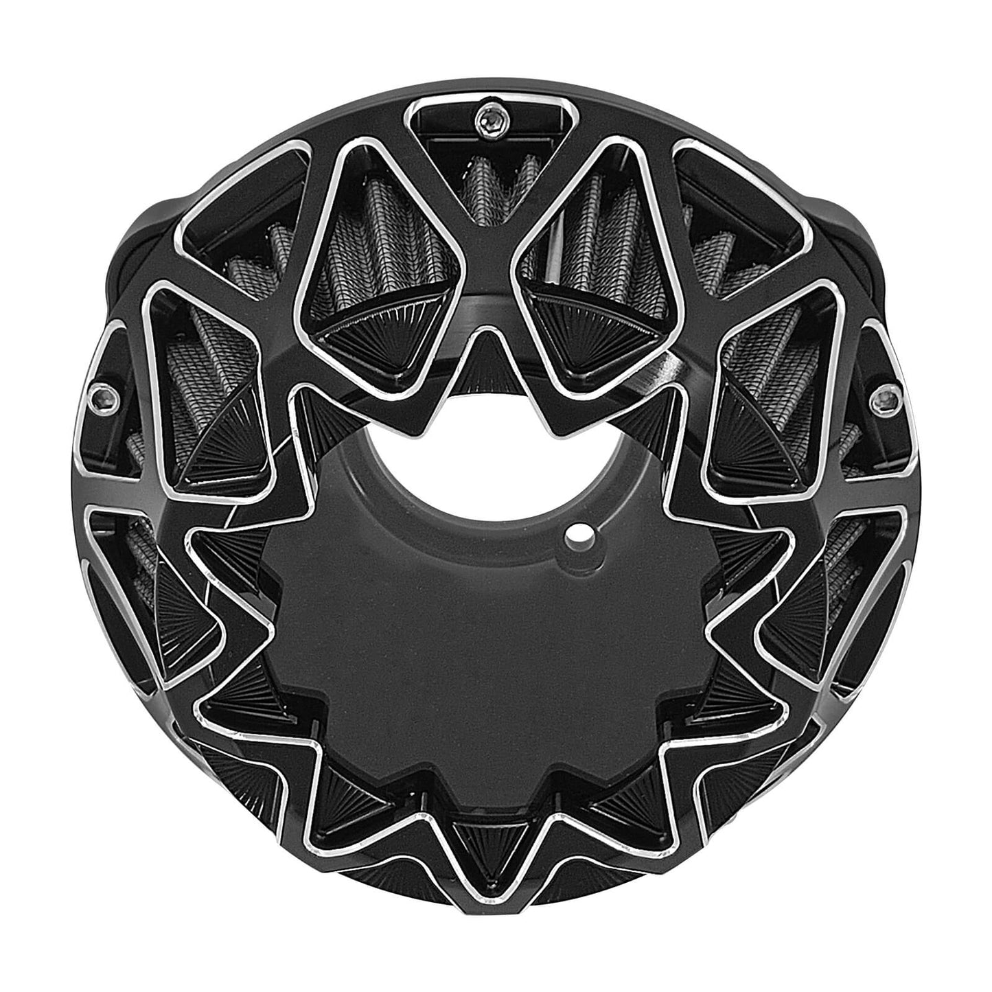 AF008401-hcmotorku-harley-air-filter-cleaner-for-sportster-black