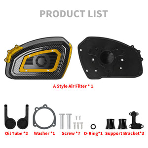 Air Cleaner System Carbon Look & Red Filter Element Sportster '04-'22 XL - Gold | HCmotorku