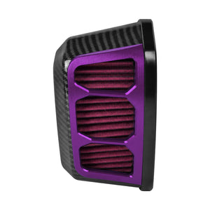 Air Cleaner System Carbon Look & Red Intake Sportster '04-'22 XL - Purple | HCmotorku