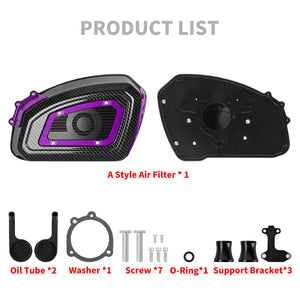 Air Cleaner System Carbon Look & Red Intake Sportster '04-'22 XL - Purple | HCmotorku