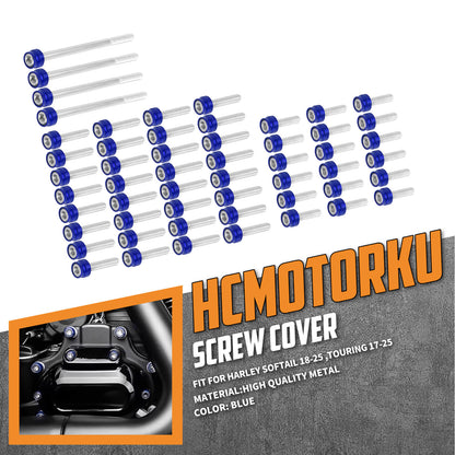 FR006104 HCmotorku Blue Cover Screw Kit for Harley Softail ’18-’25 Touring ‘17-’25