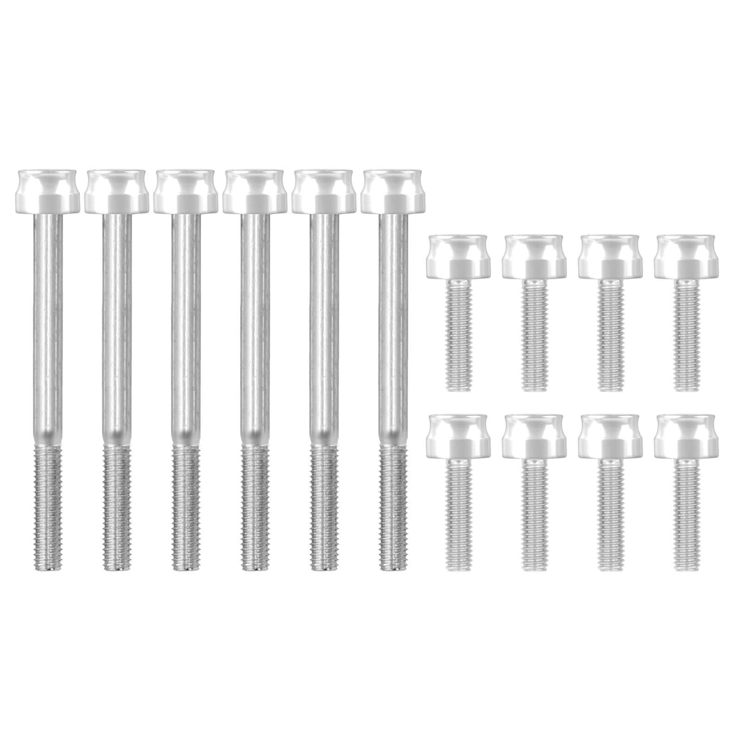 FR007902_HCmotorku_Engine_Screws_Kit_For_Harley_Softail_18-_25_Touring_17-_25 Chrome