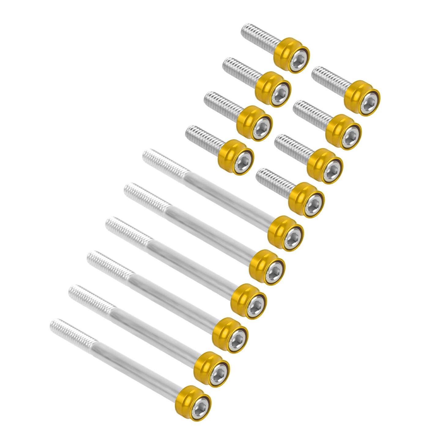 FR007904_HCmotorku_Engine_Screws_Kit_For_Harley_Softail_18-_25_Touring_17-_25 Gold