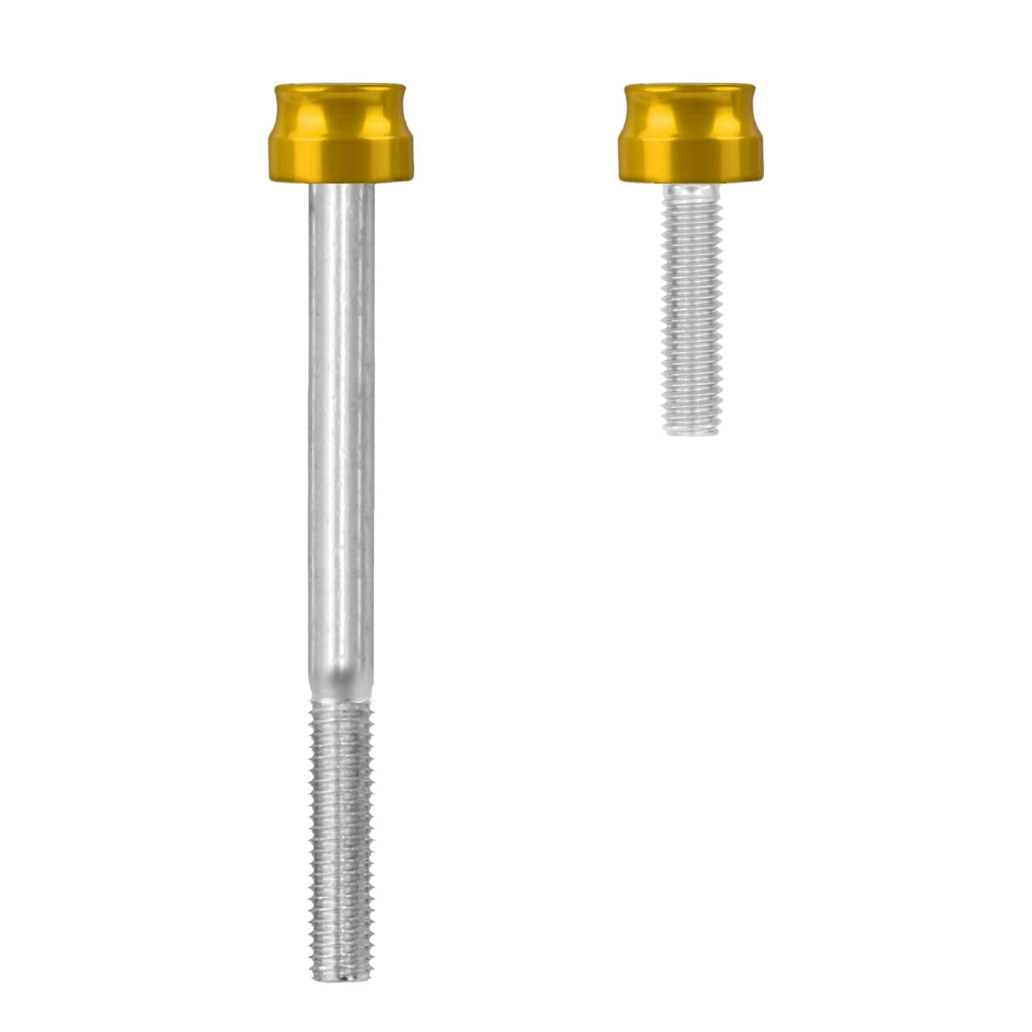 FR007904_HCmotorku_Engine_Screws_Kit_For_Harley_Softail_18-_25_Touring_17-_25 Gold