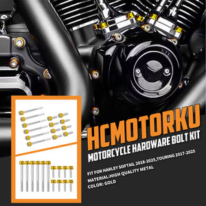 FR007904_HCmotorku_Engine_Screws_Kit_For_Harley_Softail_18-_25_Touring_17-_25 Gold