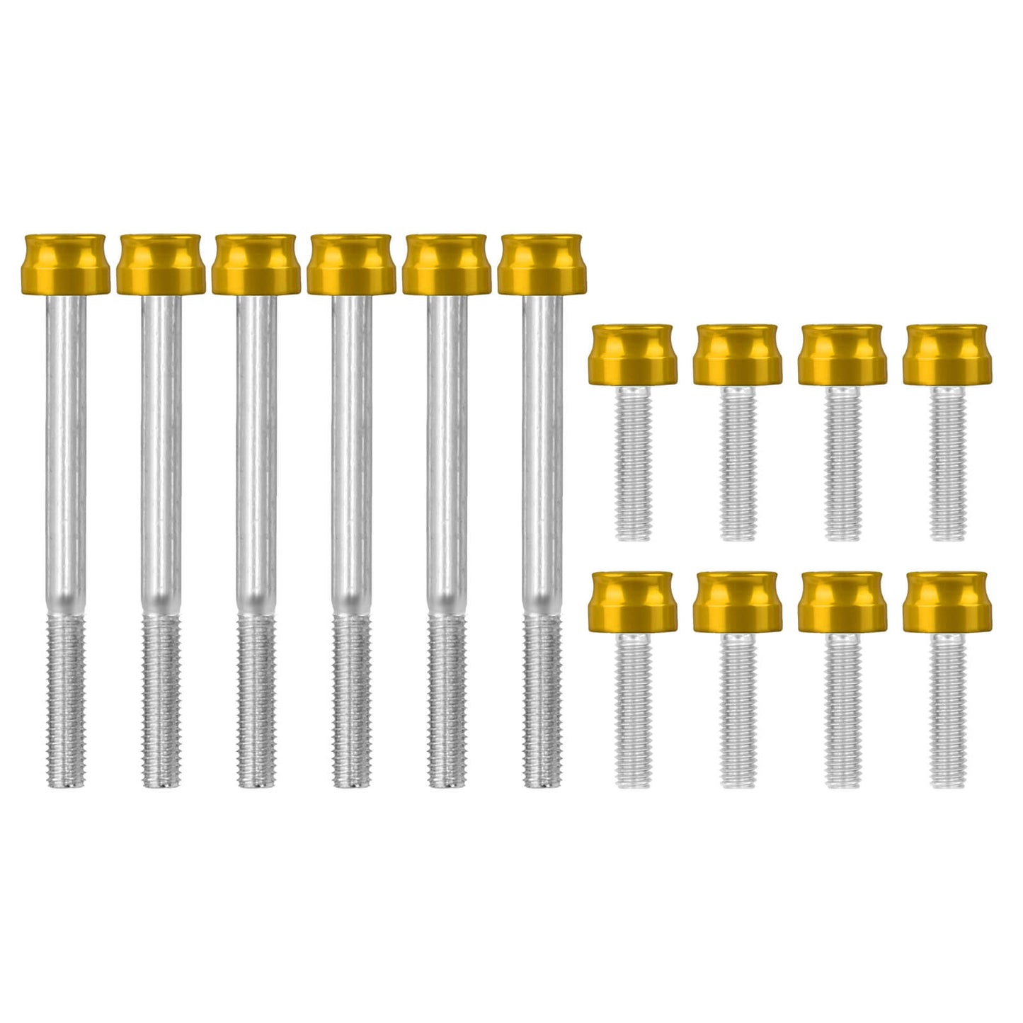 FR007904_HCmotorku_Engine_Screws_Kit_For_Harley_Softail_18-_25_Touring_17-_25 Gold