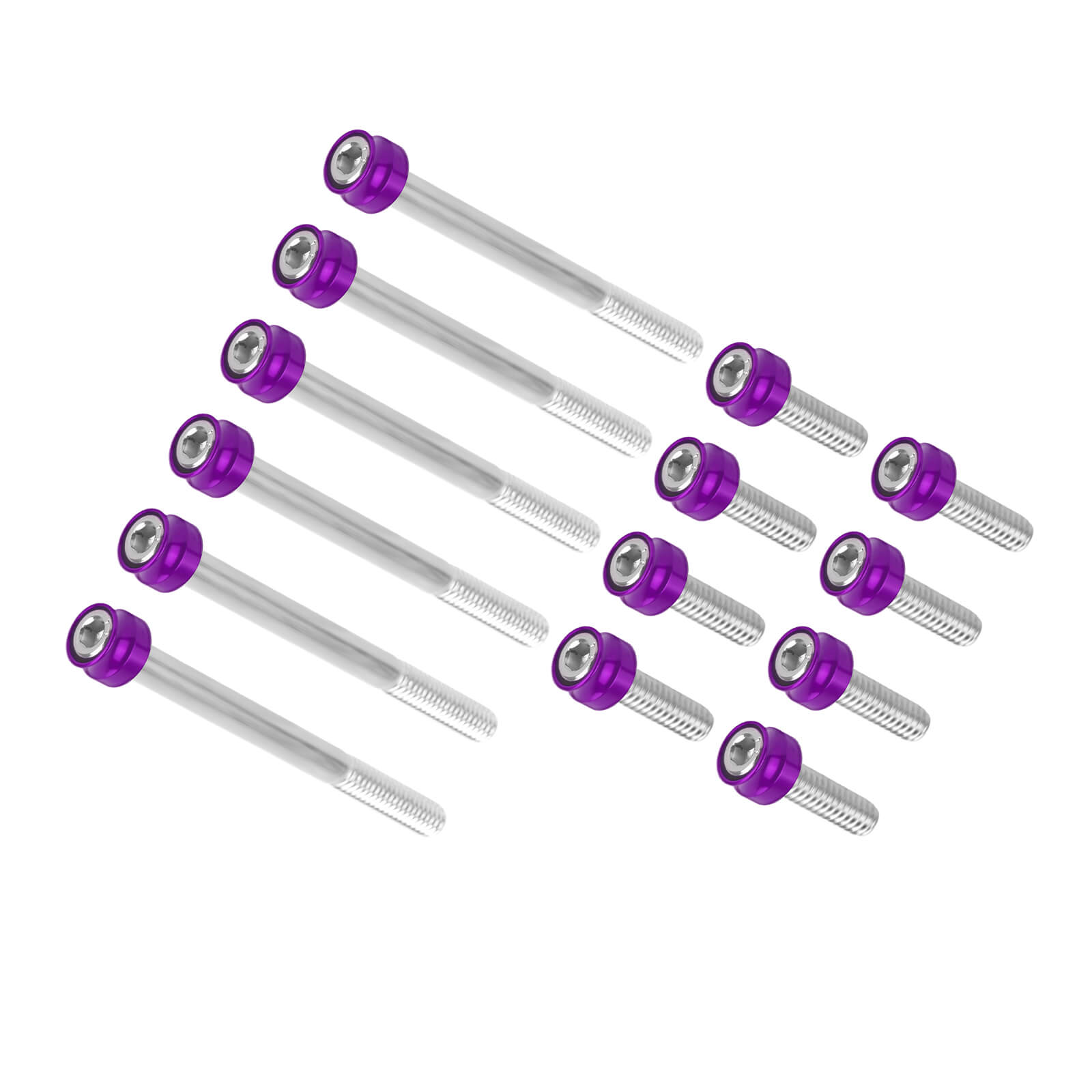 FR007906_HCmotorku_Anodized Aluminum Engine Screws Bolts Kit For Harley Softail '18-'25 Touring '17-'25 Purple