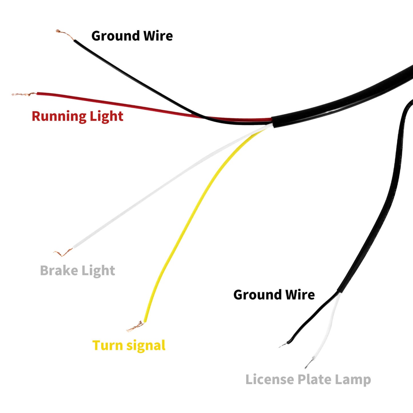 Bullet Rear Turn Signal Light Bar Kit | HCmotorku