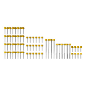 ZHFR0019-JG_HCmotorku_Corrosion-Resistant Aluminum Engine Screws Kit For Harley Softail Touring '17-'25 Gold