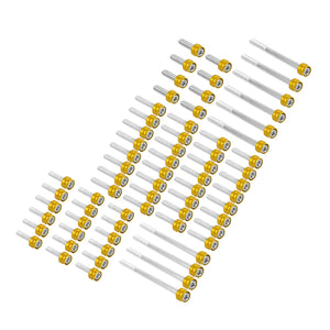 ZHFR0019-JG_HCmotorku_Corrosion-Resistant Aluminum Engine Screws Kit For Harley Softail Touring '17-'25 Gold