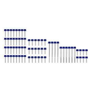 ZHFR0020-JG_HCmotorku_Corrosion-Resistant Aluminum Engine Screws Kit For Harley Softail Touring '17-'25 blue