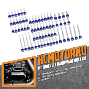 ZHFR0020-JG_HCmotorku_Corrosion-Resistant Aluminum Engine Screws Kit For Harley Softail Touring '17-'25 blue