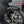 Forged Carbon Fiber Fender Front Fender for Harley CVO '23-'26 | HCmotorku